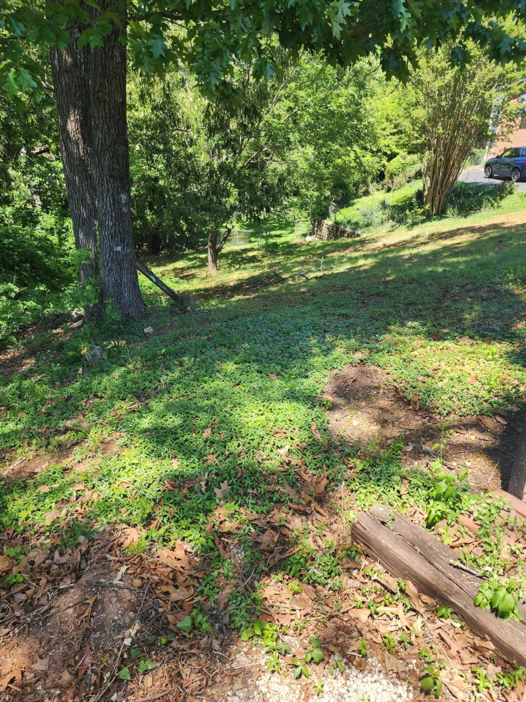 63 Dogwood LN - Photo 38