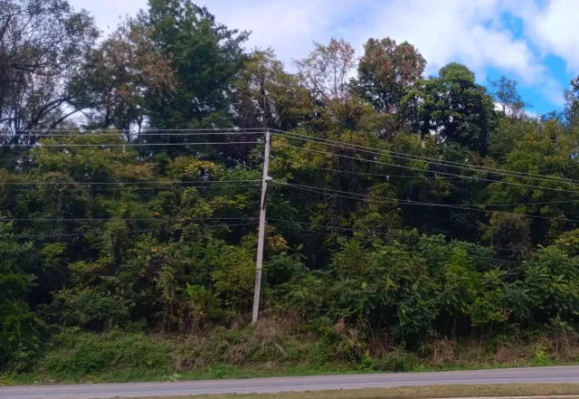 0 Brandon AVE, Roanoke, VA, 24015
