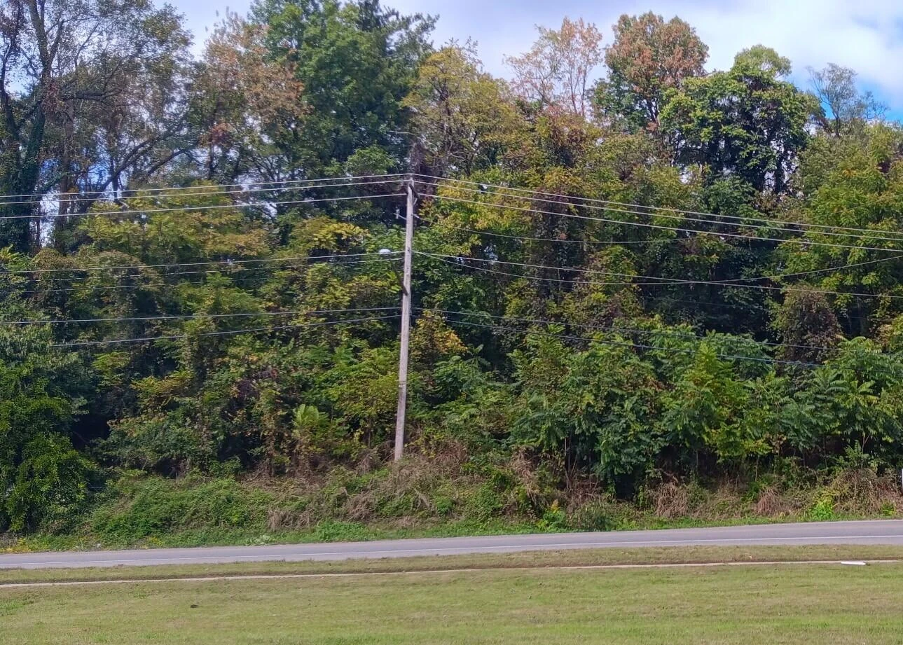 0 Brandon AVE - Photo 2