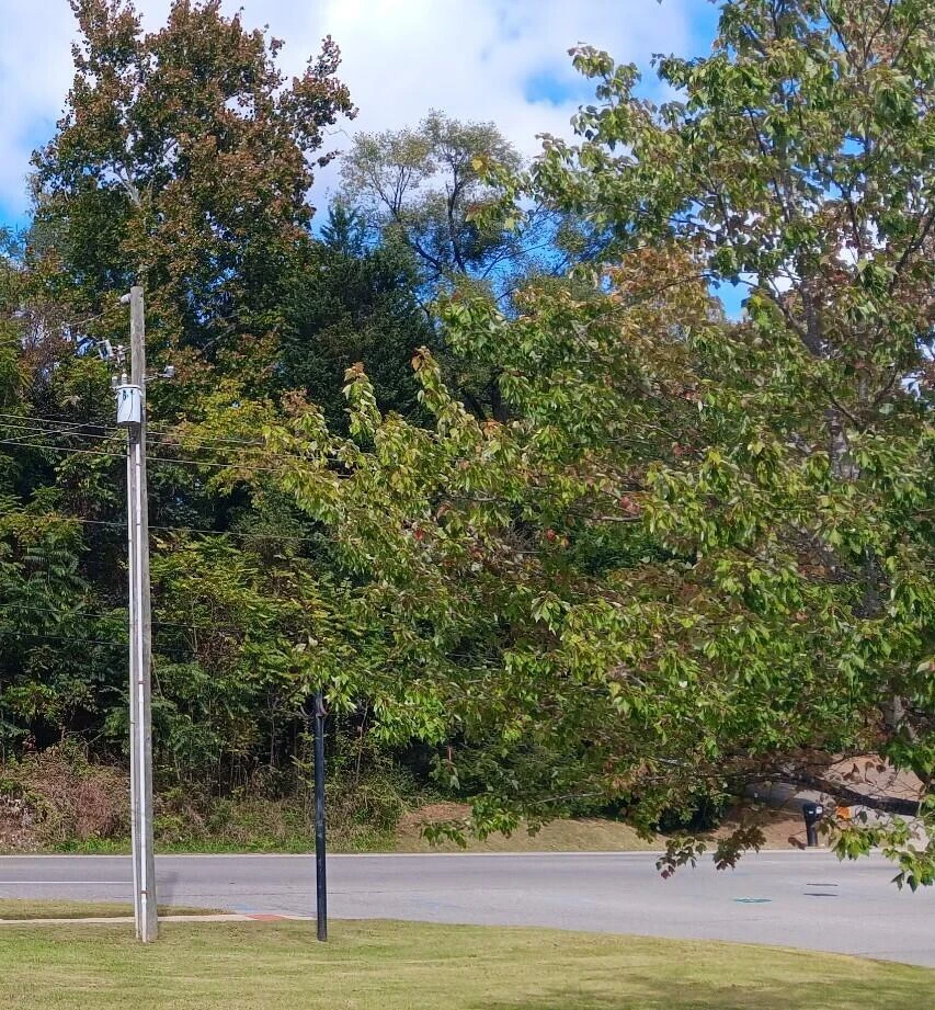 0 Brandon AVE - Photo 3