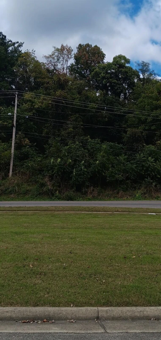 0 Brandon AVE - Photo 4