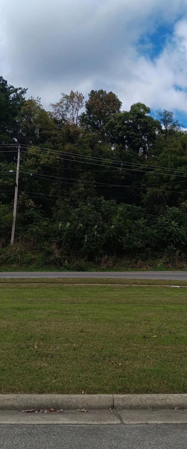 0 Brandon AVE - Photo 5