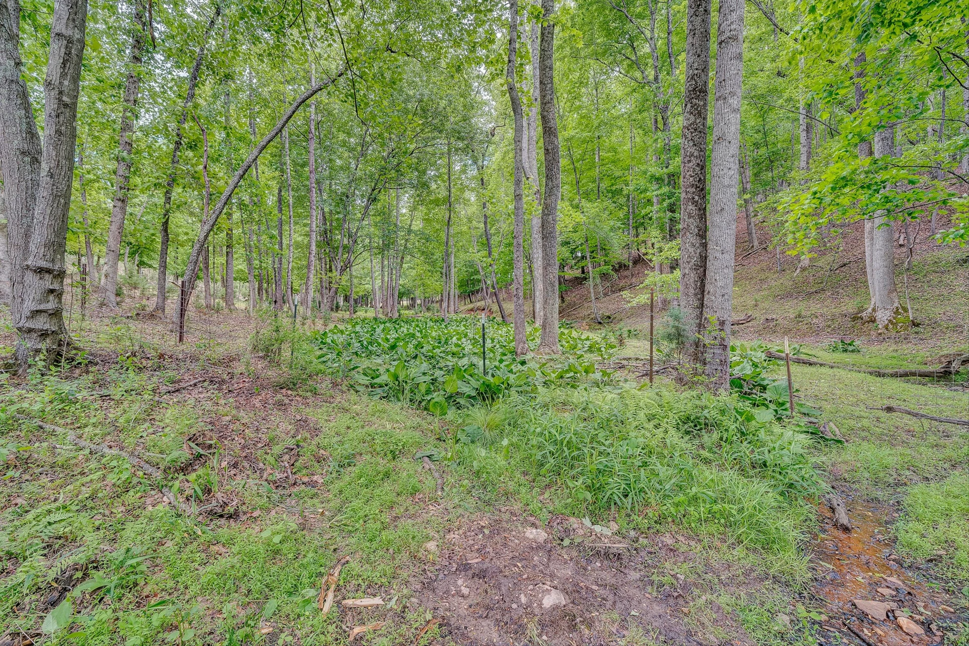 3835 Hardy RD - Photo 41