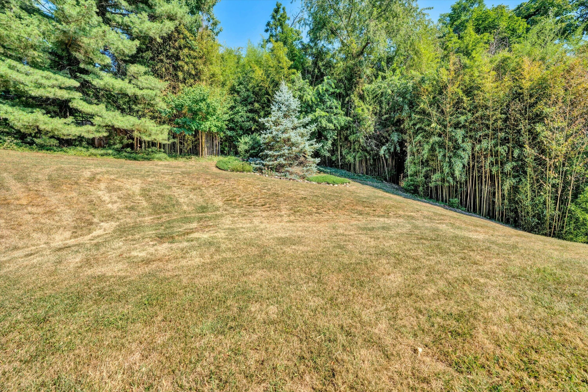 4911 Cave Spring CIR - Photo 33