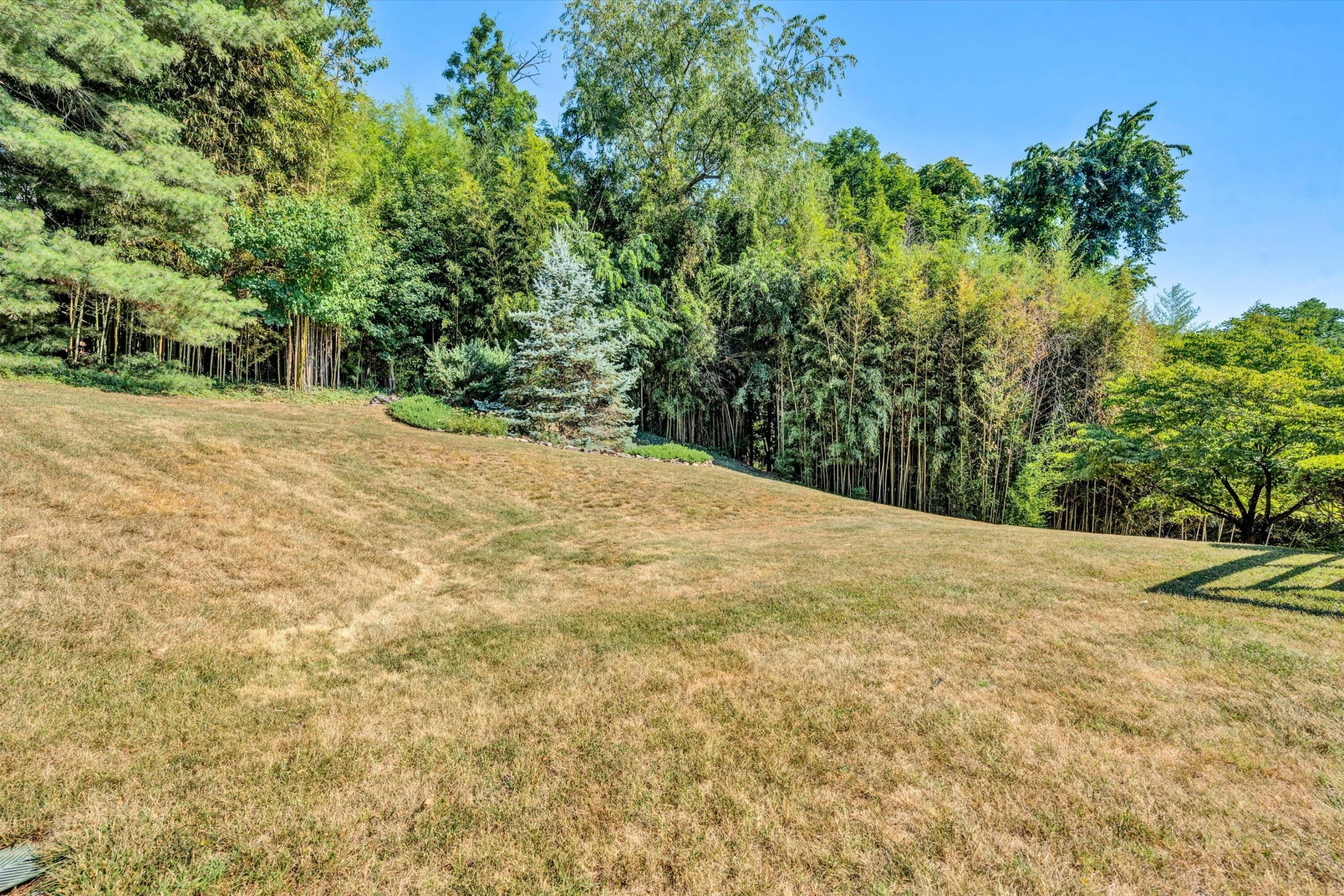 4911 Cave Spring CIR - Photo 35