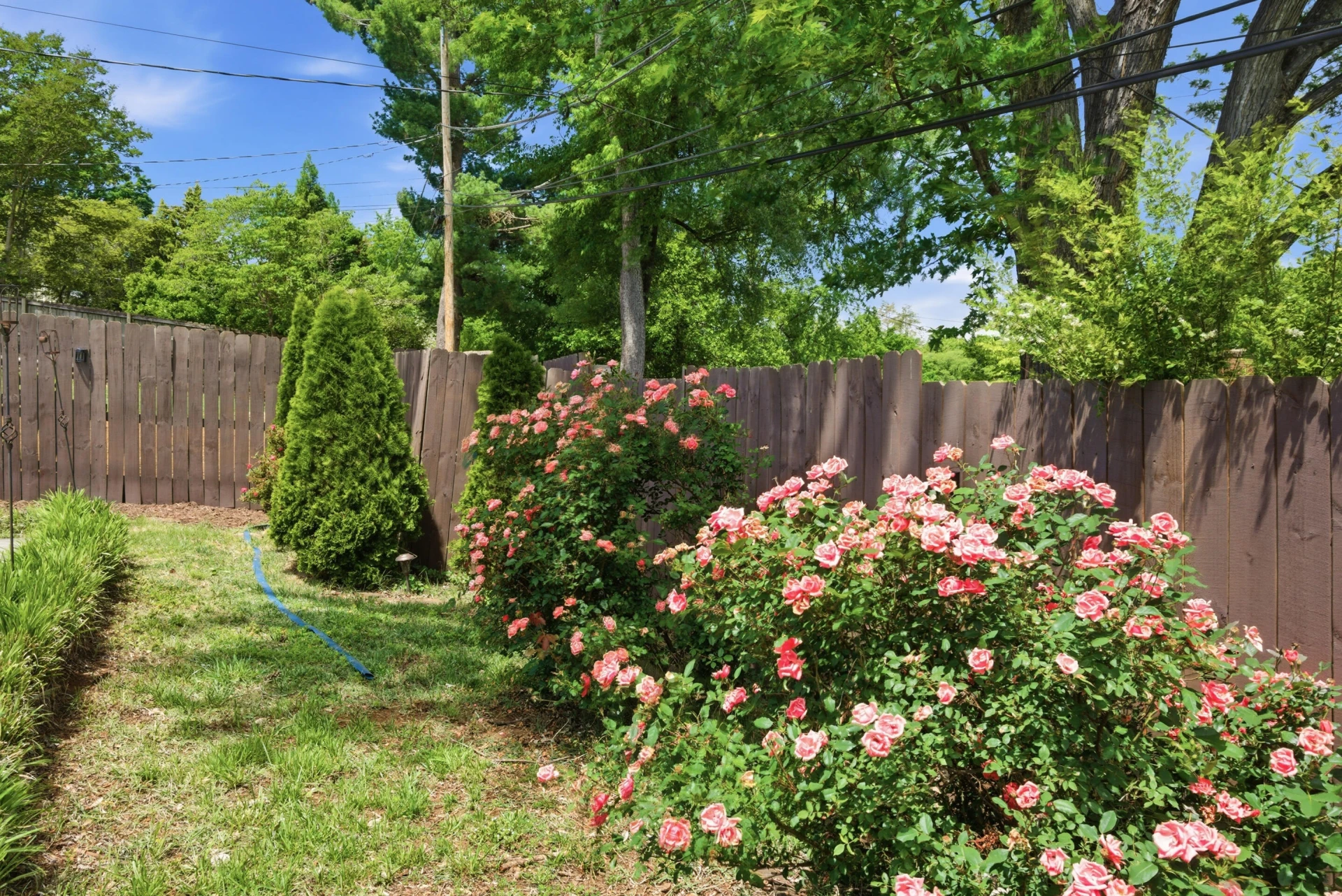 1609 Center Hill DR - Photo 61