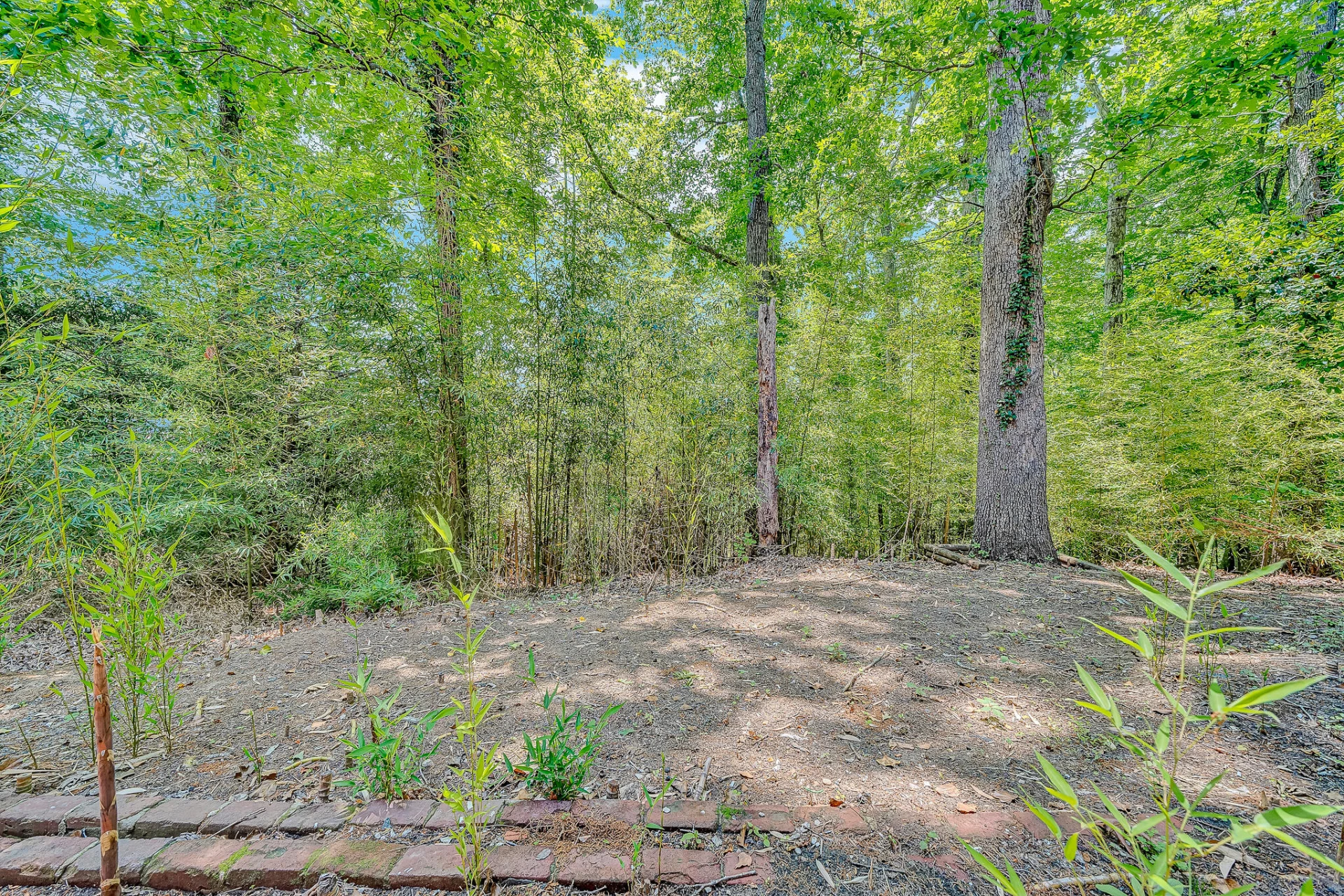 83 Maid Marian CT - Photo 26