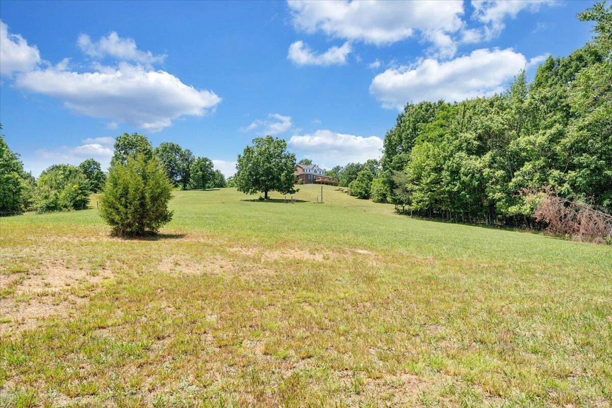 1615 Turkeycock LN - Photo 117