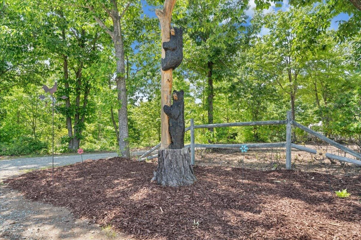 1615 Turkeycock LN - Photo 121