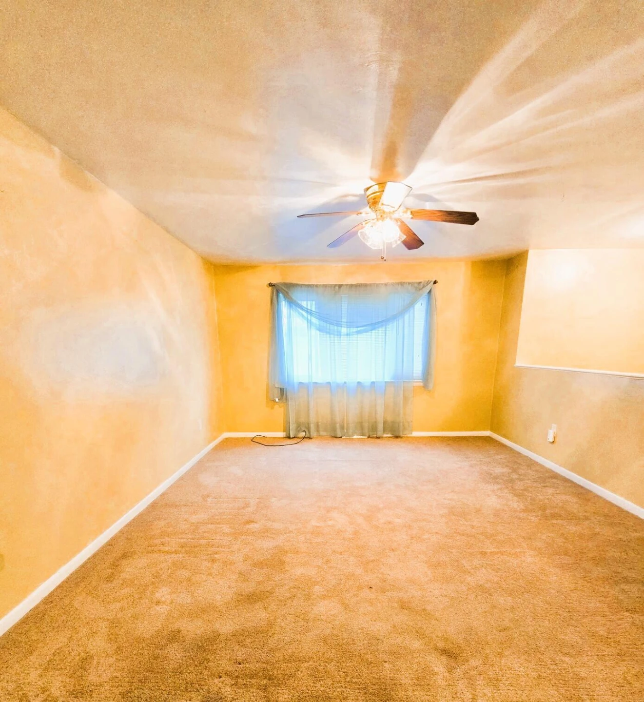 3843 Old Stevens RD - Photo 4