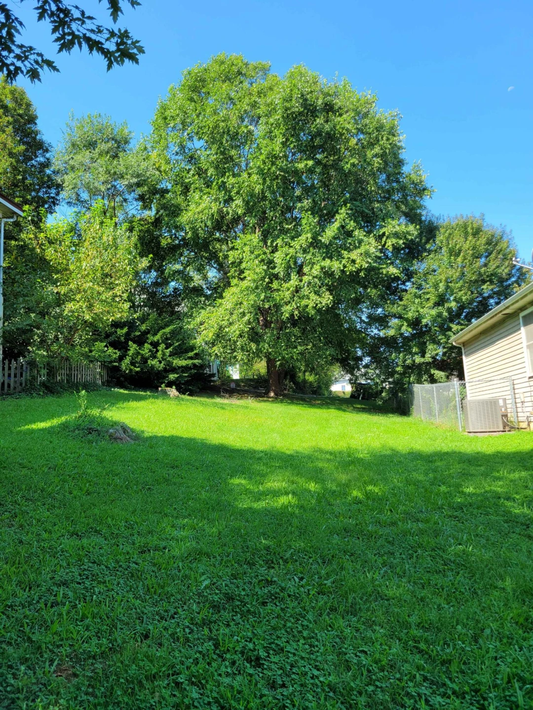 0 12th ST - Photo 7