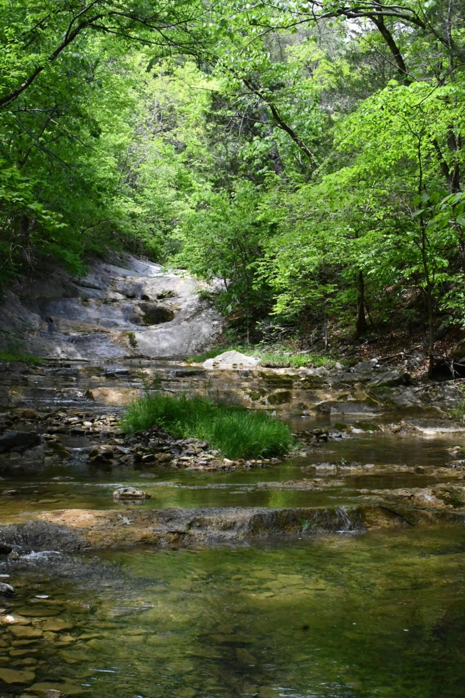 000 Indian Rock RD