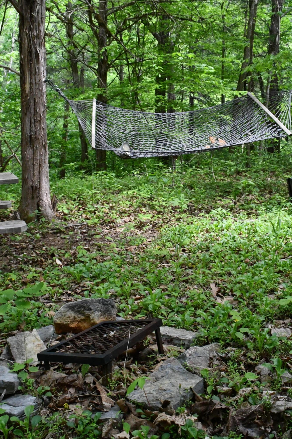 000 Indian Rock RD - Photo 3