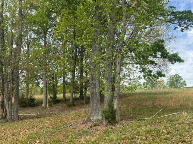 Lot 28 Farm DR, Moneta, VA, 24121