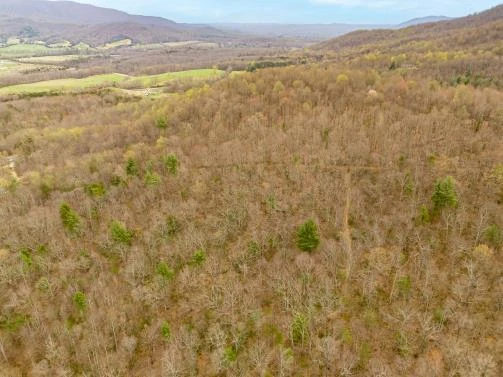 0 Adventure Mountain RD - Photo 4