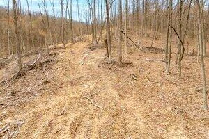 0 Adventure Mountain RD - Photo 6