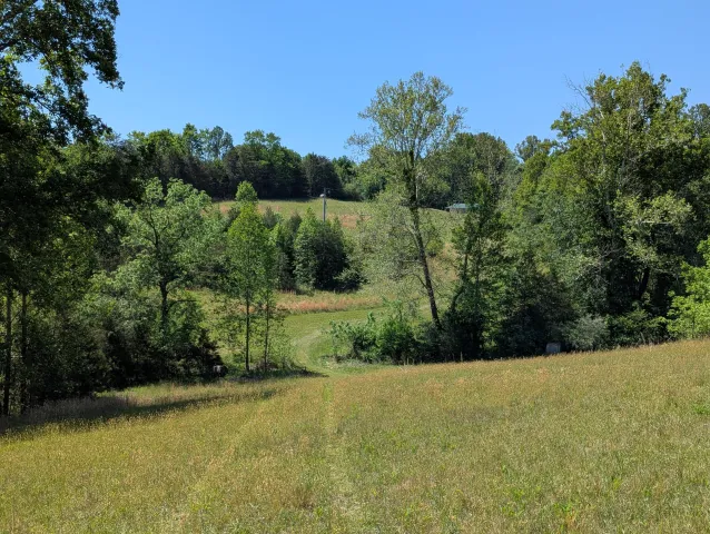 Tract A Brooks Mill RD, Glade Hill, VA, 24092