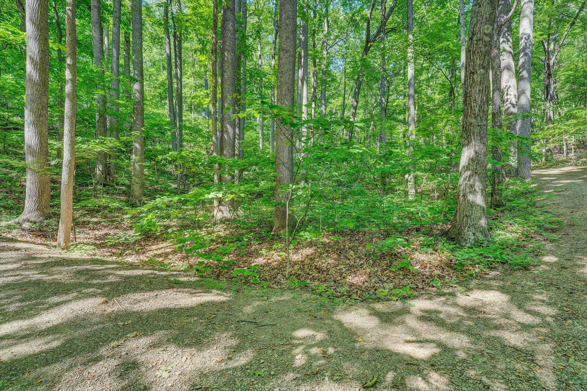 6060 Catawba Creek RD - Photo 53