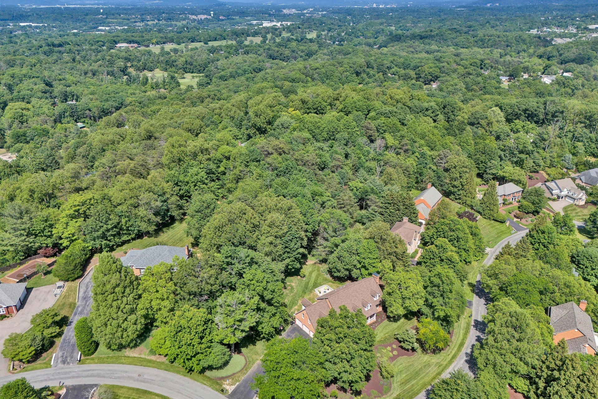 6603 Hidden Woods CT - Photo 74