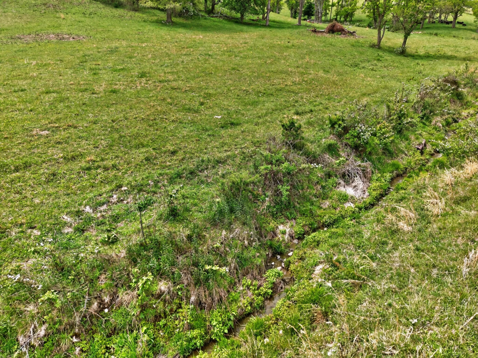 217 Indian Valley PO RD - Photo 106