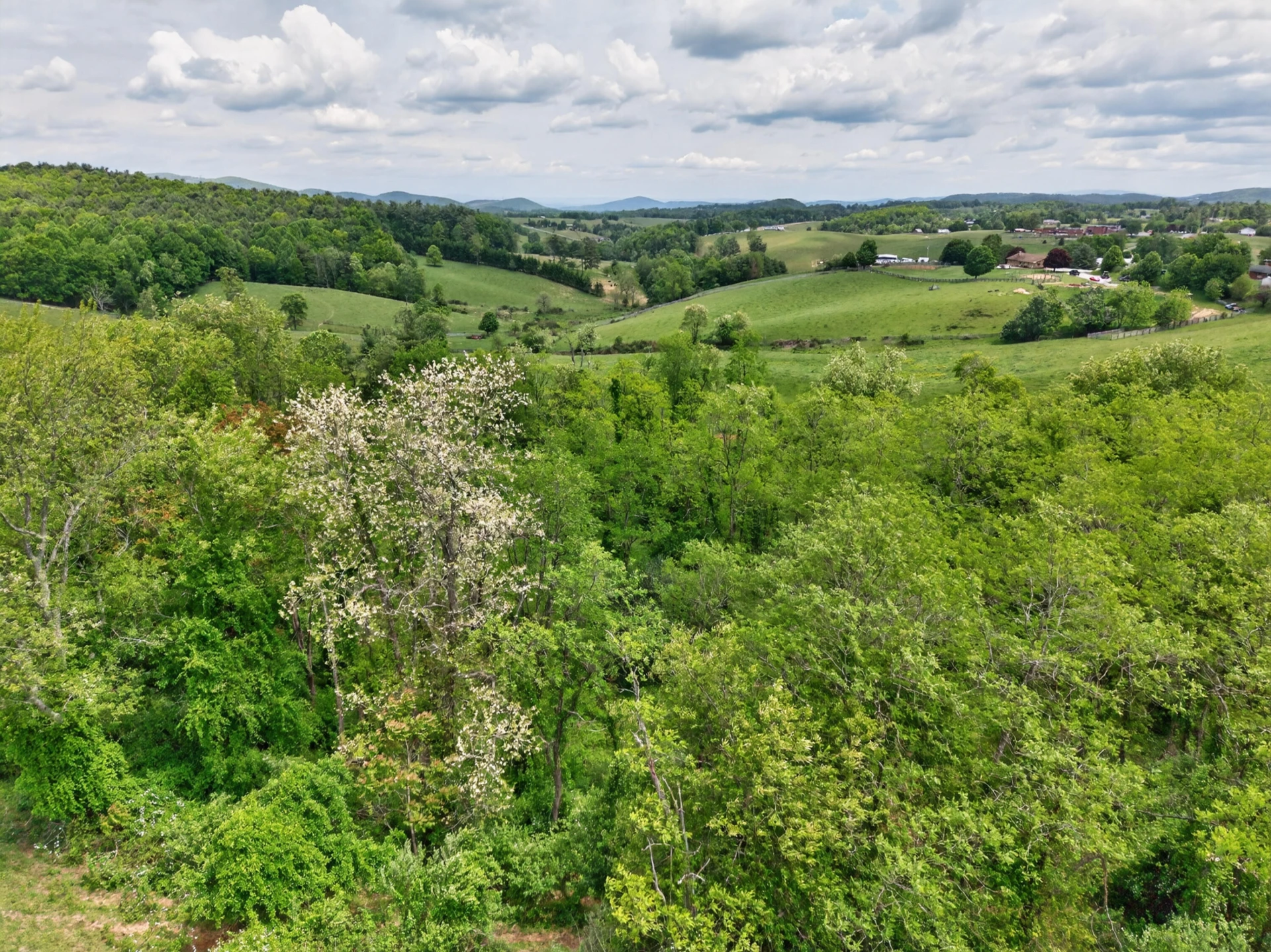 217 Indian Valley PO RD - Photo 98