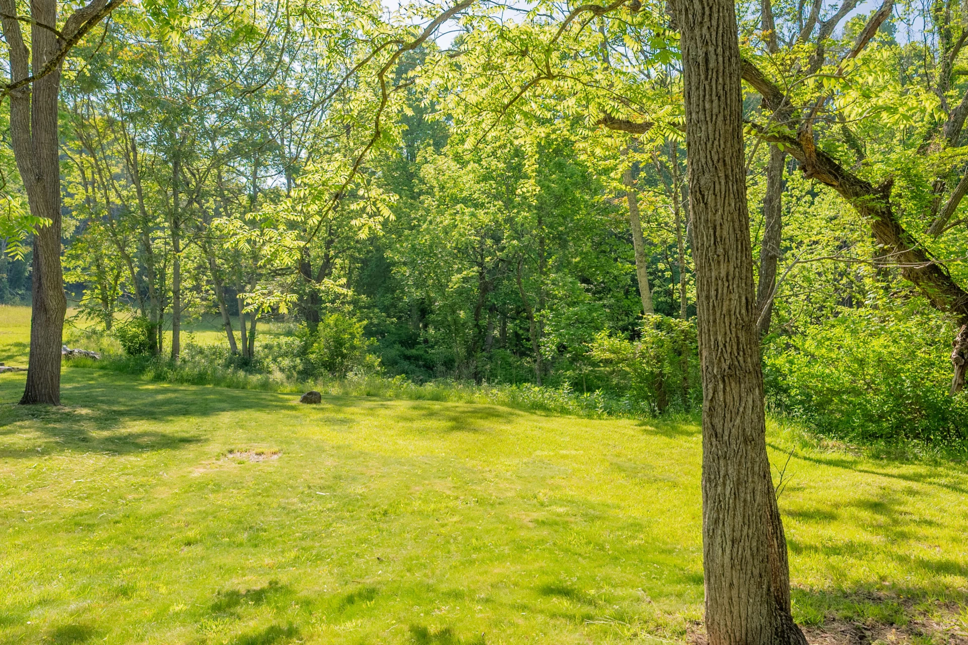 8730 Lee DR - Photo 15