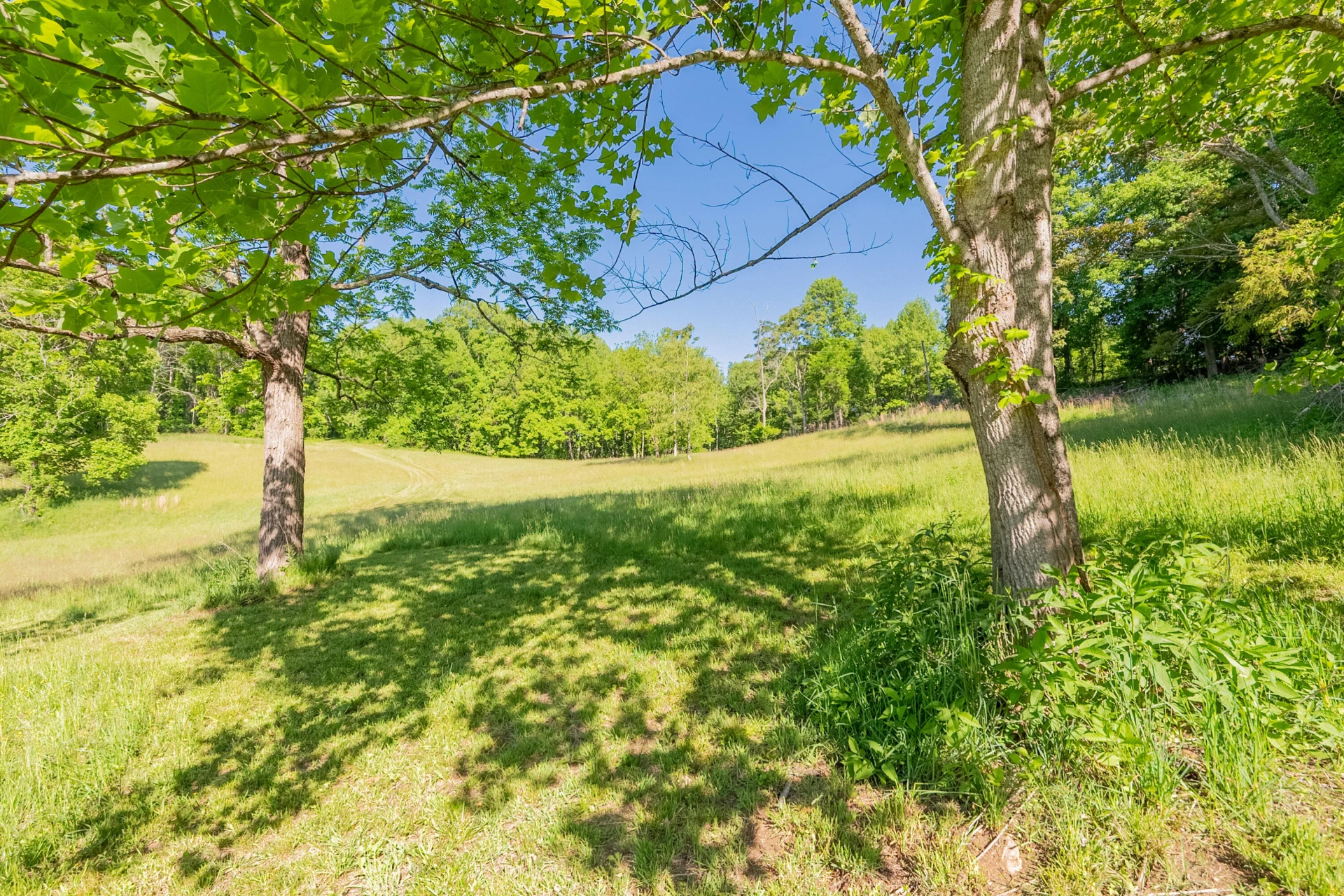 8730 Lee DR - Photo 26