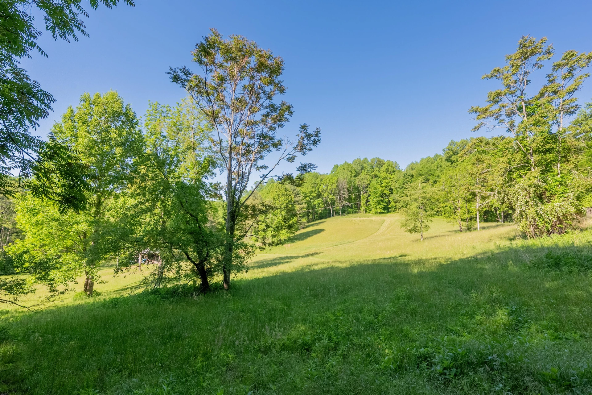 8730 Lee DR - Photo 27