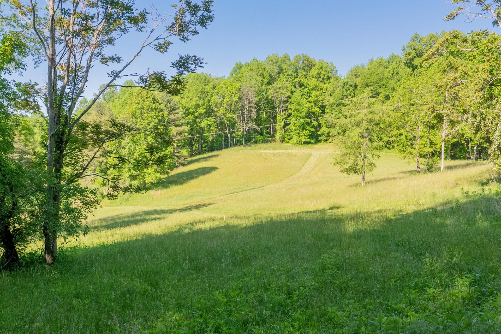 8730 Lee DR - Photo 28