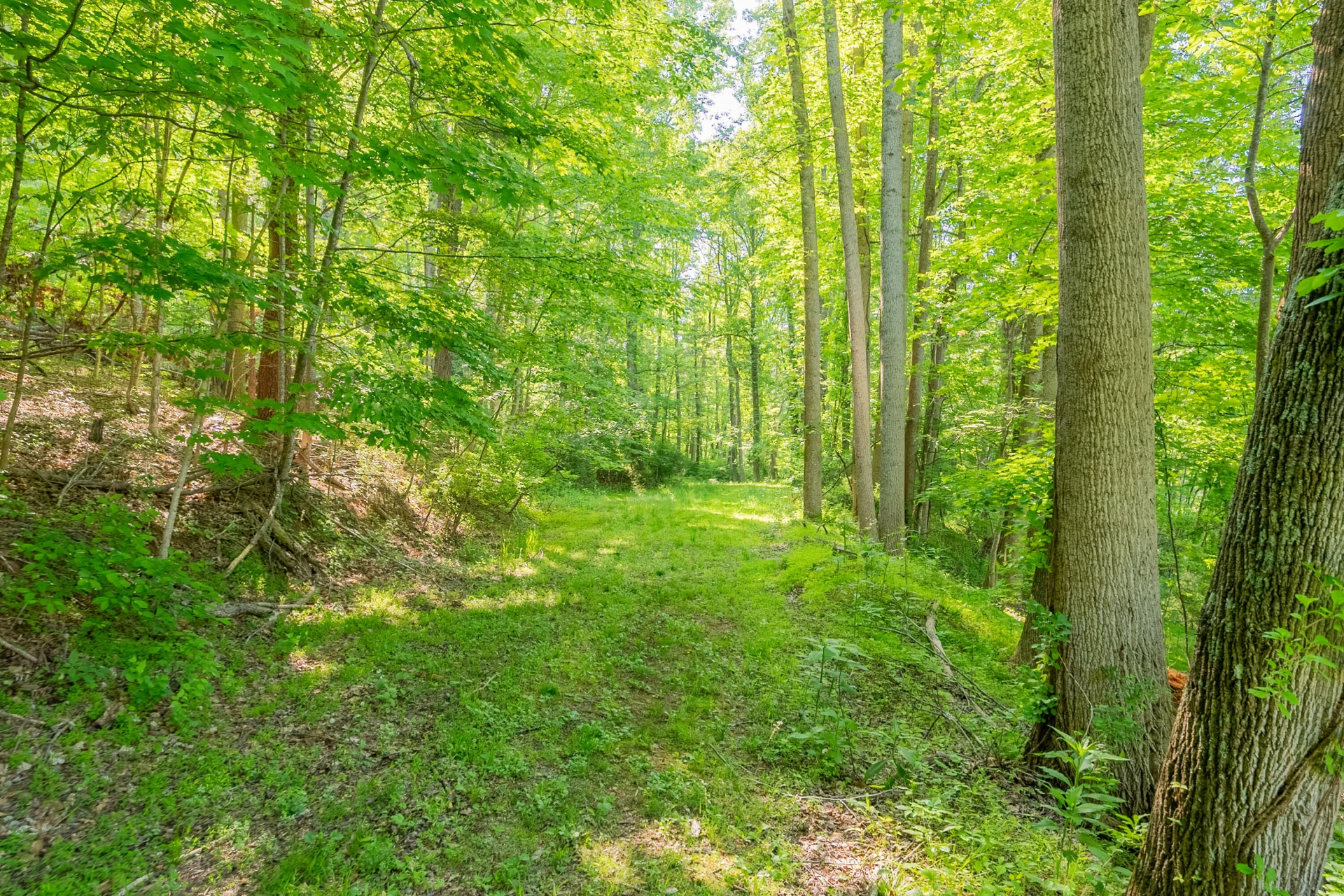 8730 Lee DR - Photo 29