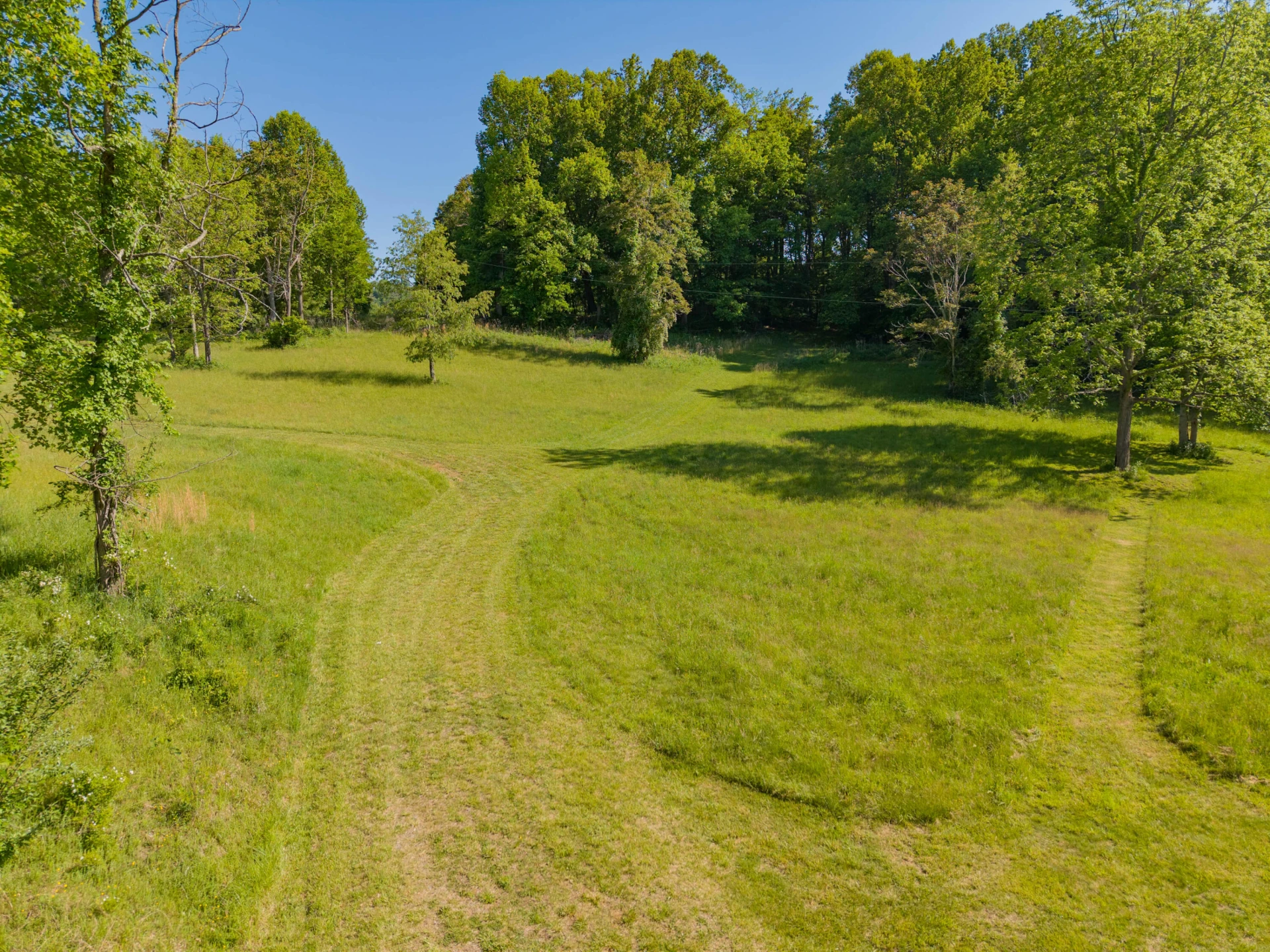 8730 Lee DR - Photo 3