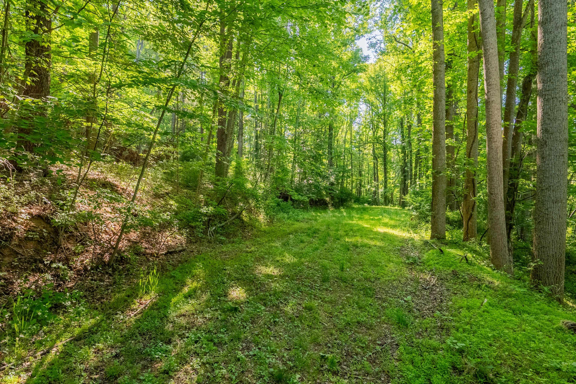 8730 Lee DR - Photo 30