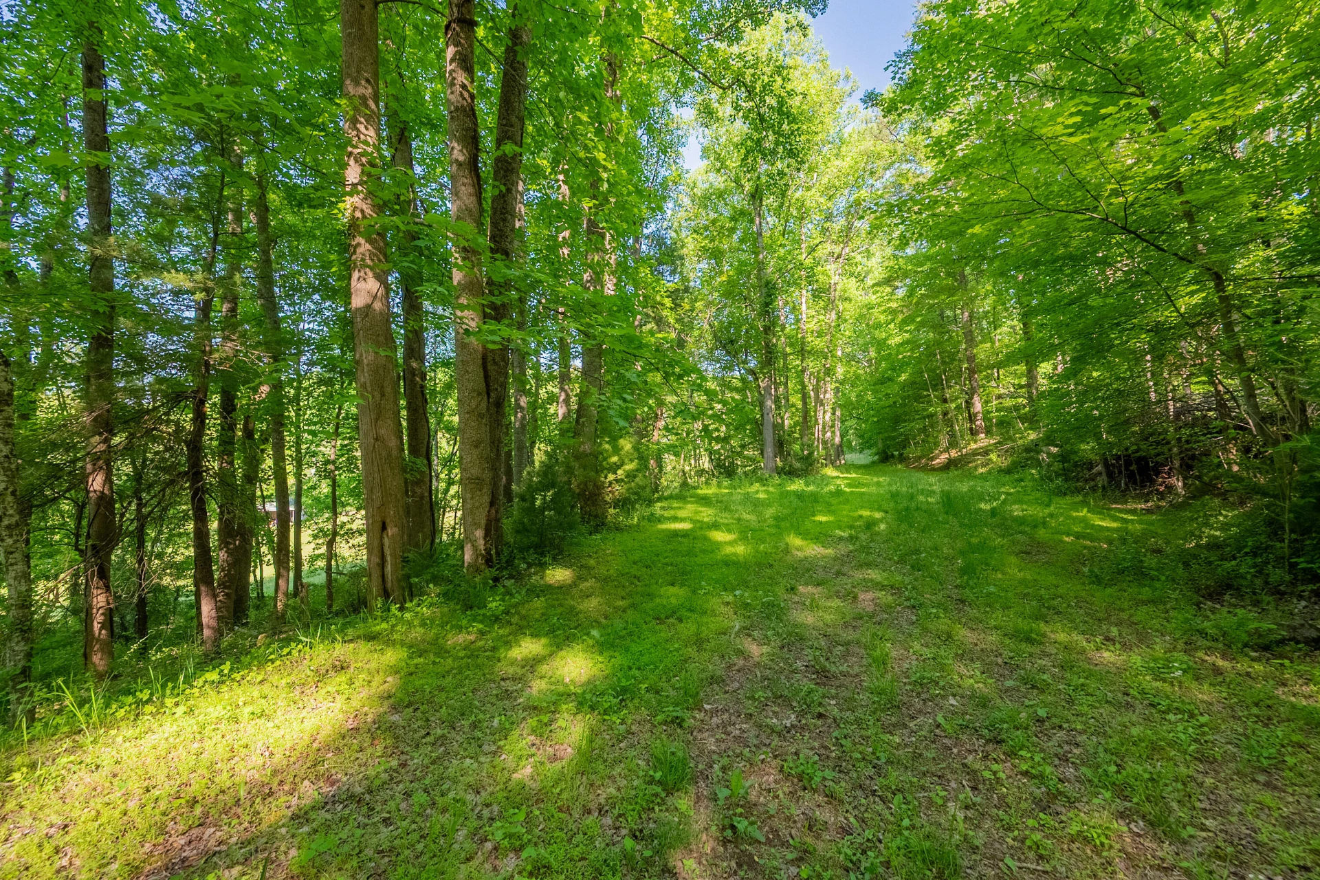 8730 Lee DR - Photo 31