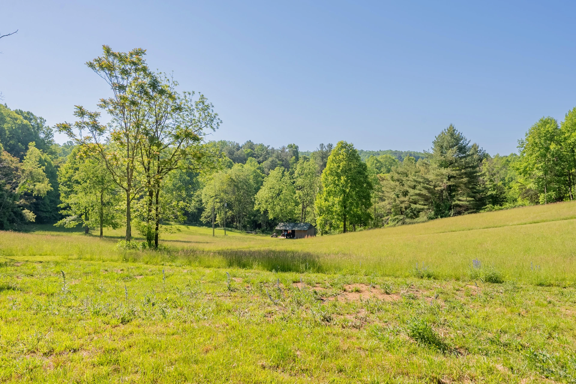 8730 Lee DR - Photo 34