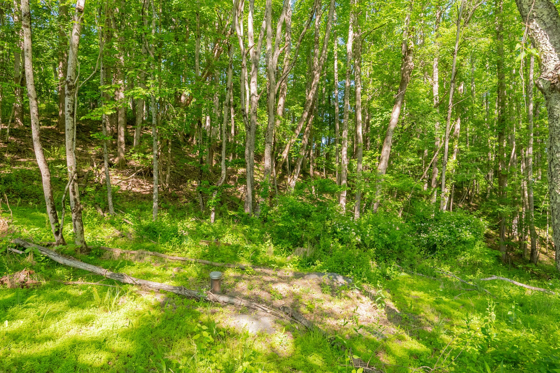 8730 Lee DR - Photo 35