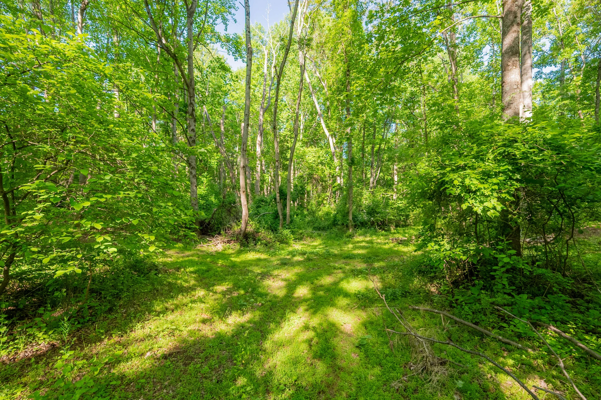 8730 Lee DR - Photo 41