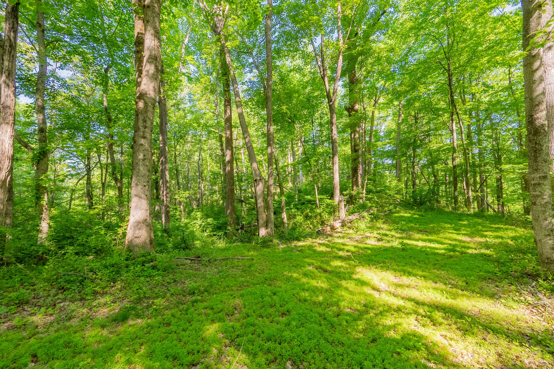 8730 Lee DR - Photo 45