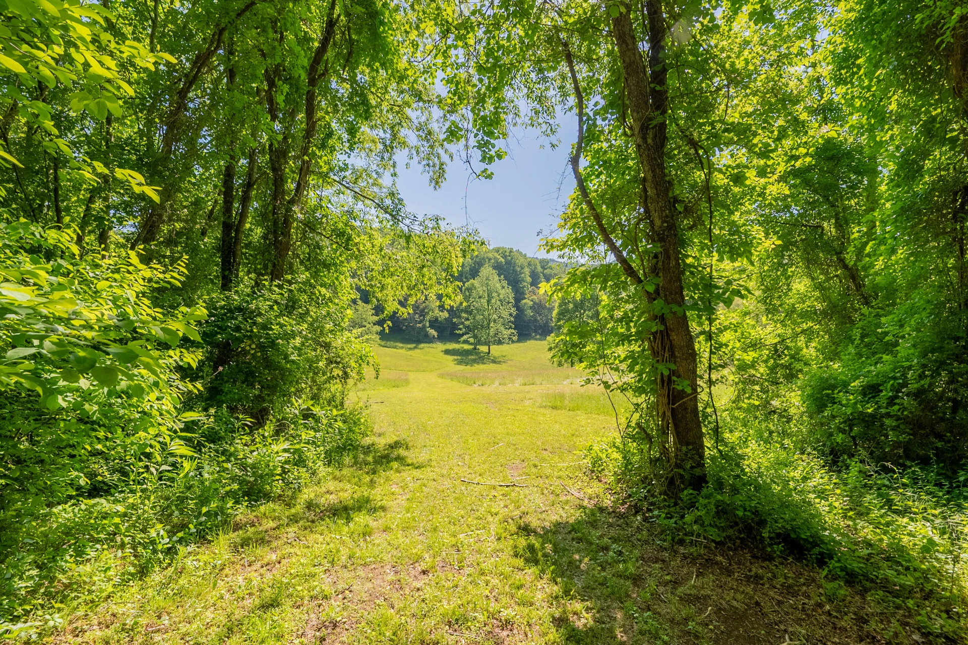 8730 Lee DR - Photo 46