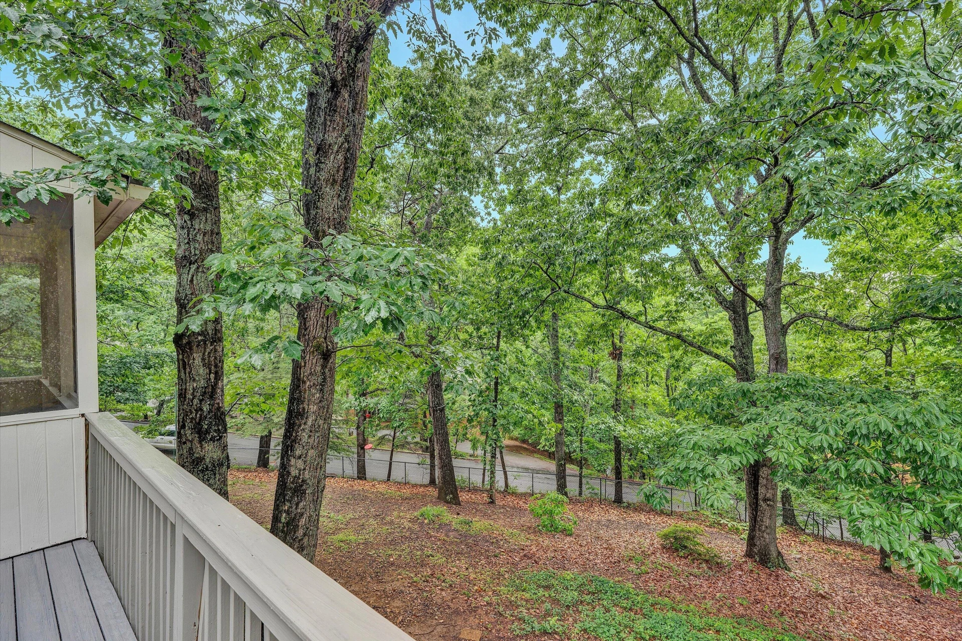 5206 Hawkbill CIR - Photo 21