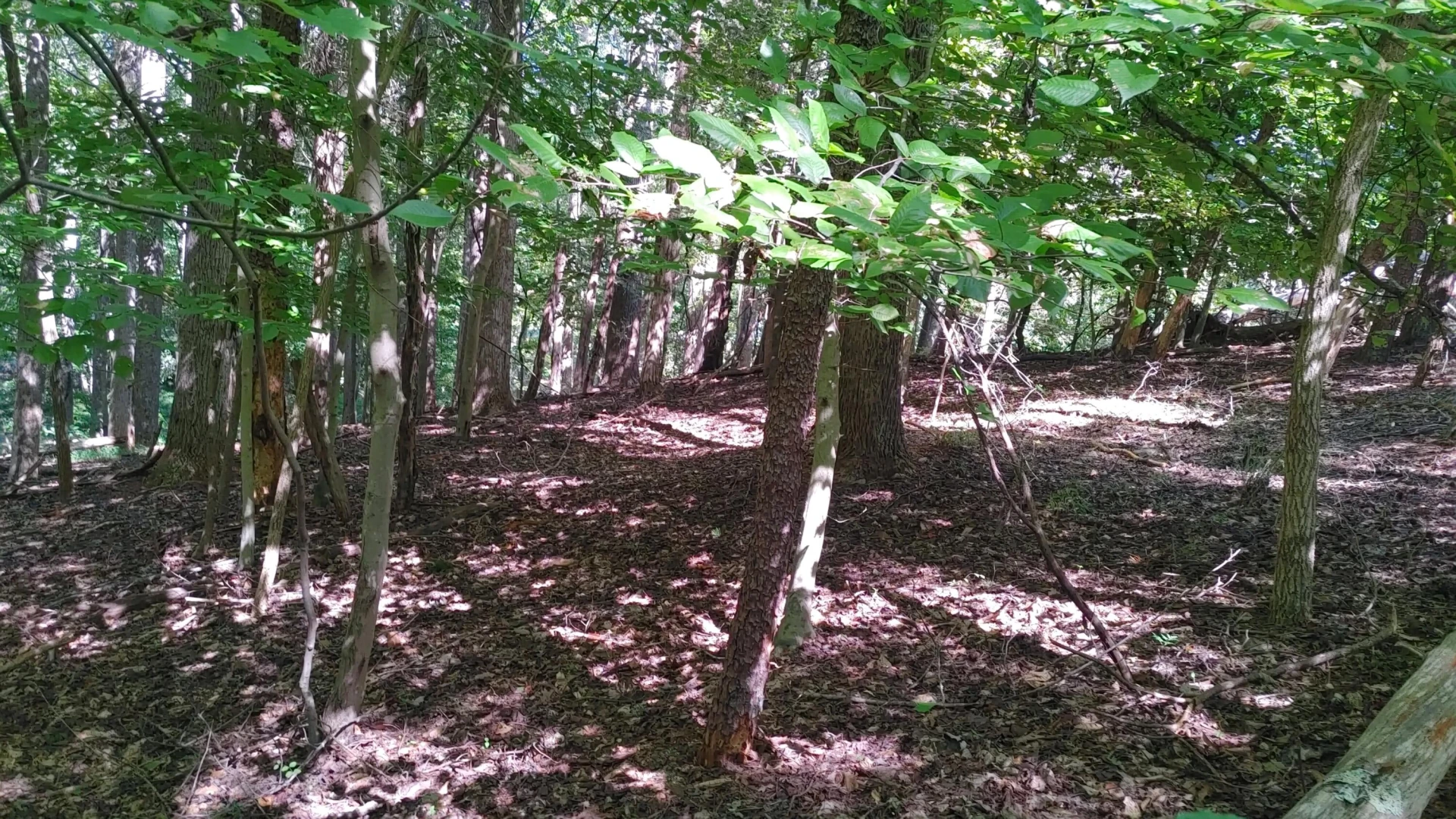Lot 53 Ridgeway CT