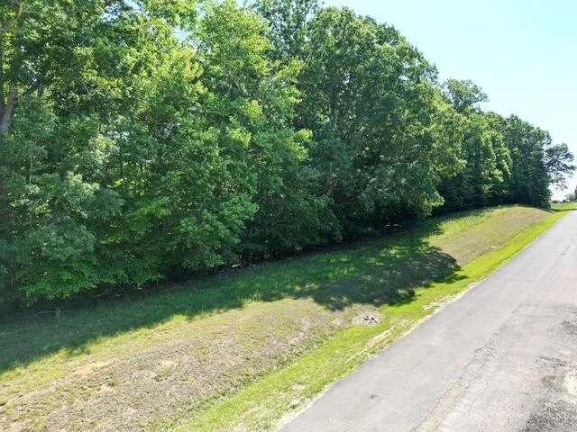 00 Sassafras CT, Moneta, VA, 24121