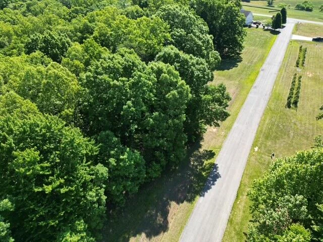 00 Sassafras CT - Photo 3