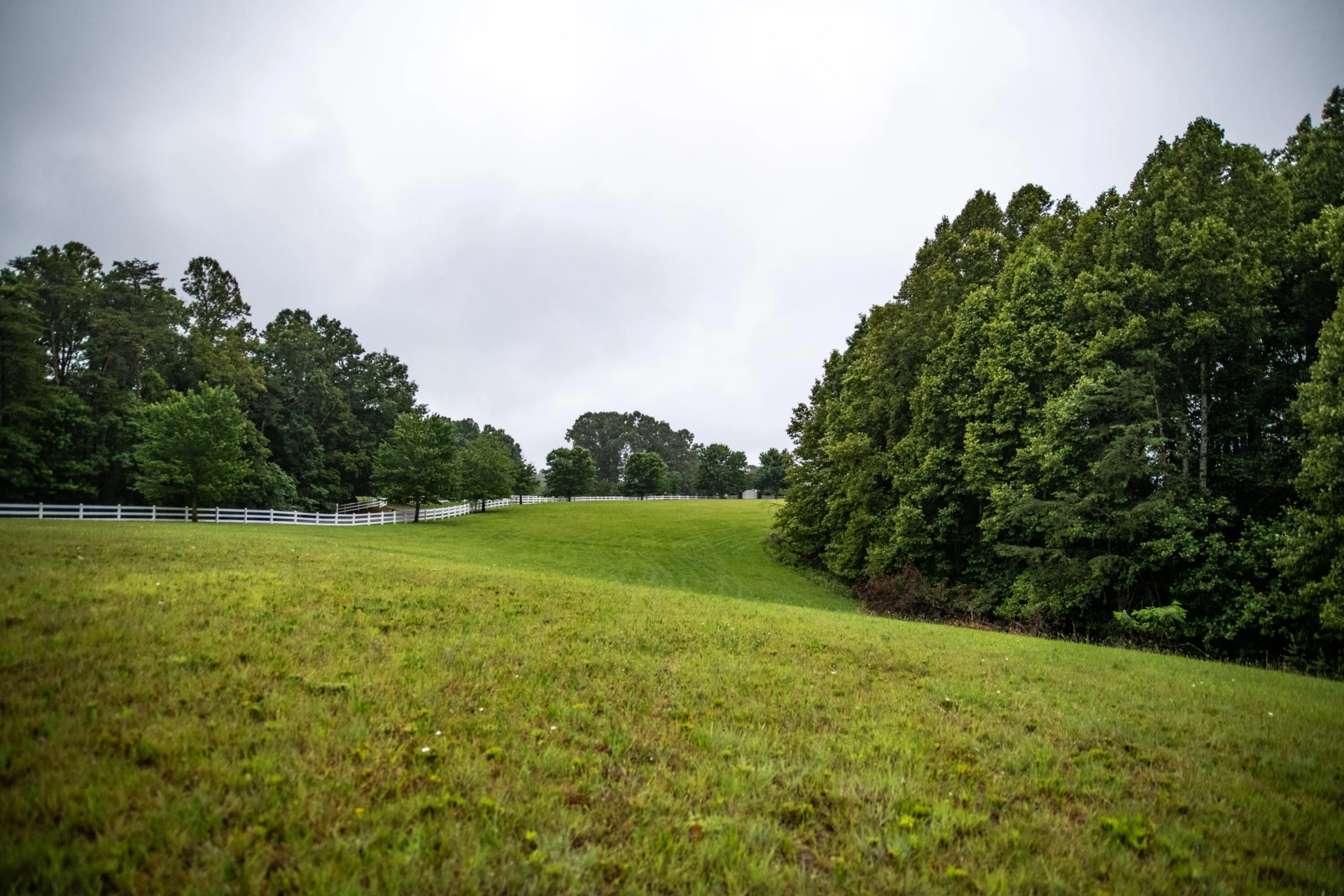 6817 Boardwalk DR - Photo 2