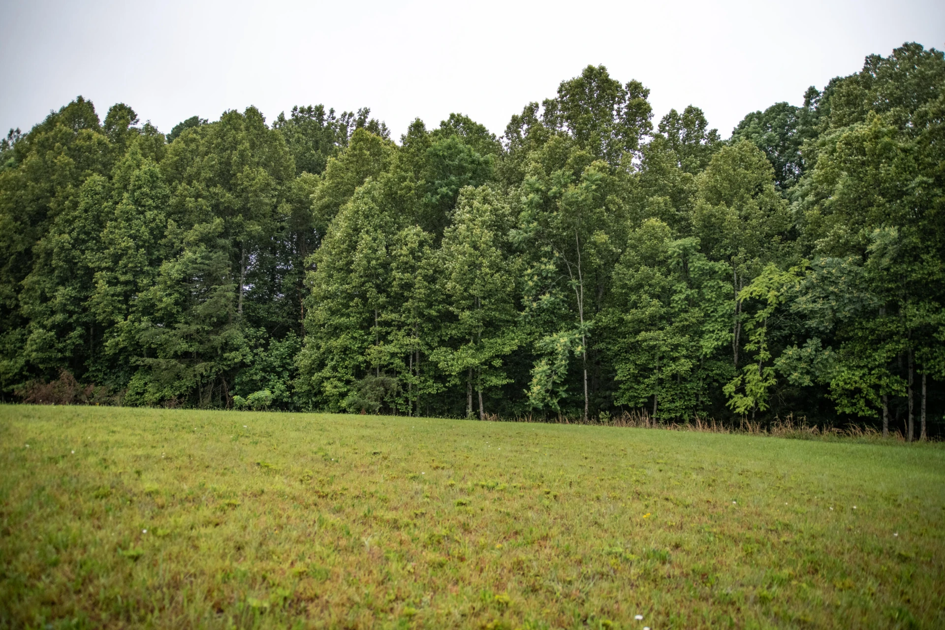 6817 Boardwalk DR - Photo 7