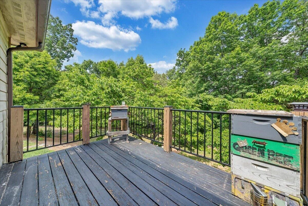 879 Aps Knob RD - Photo 15