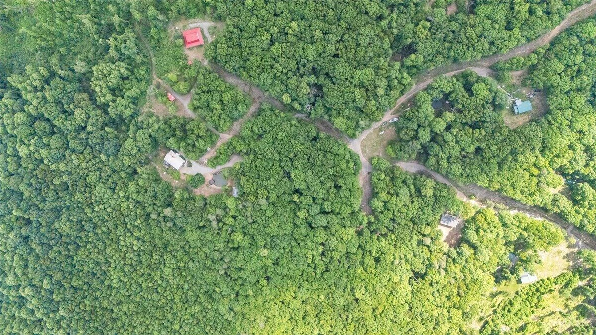 879 Aps Knob RD - Photo 40