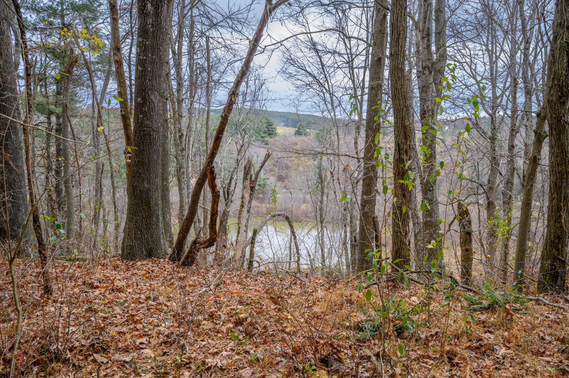 595 Wild Cherry RD NE