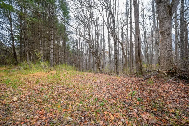 621 Wild Cherry RD NE, Pilot, VA, 24138