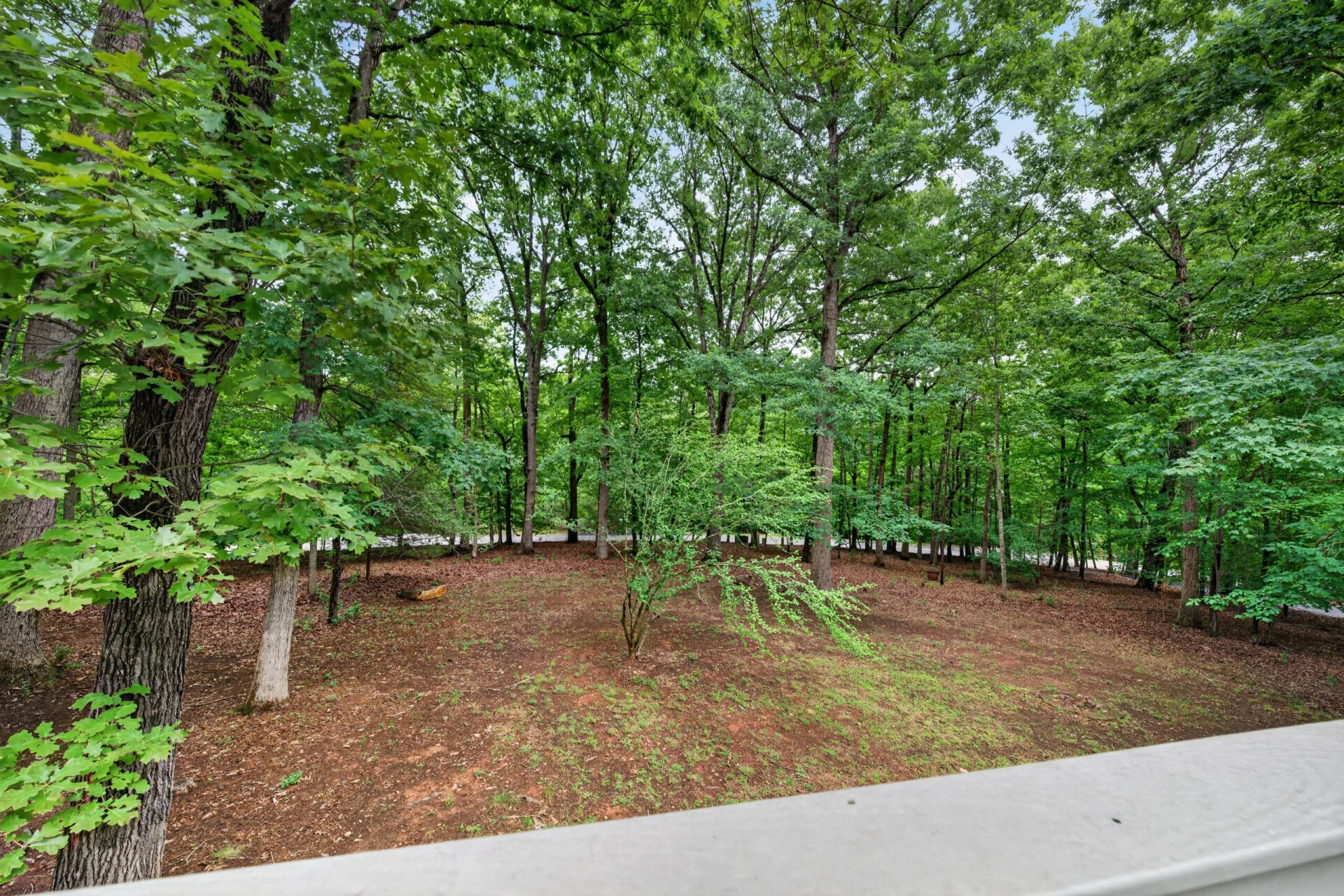 107 Creeden DR - Photo 57