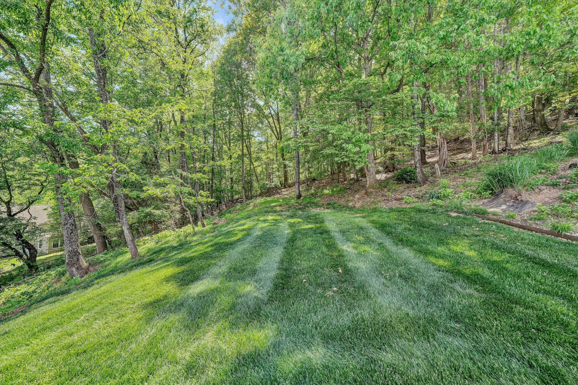 5306 Canter DR - Photo 34